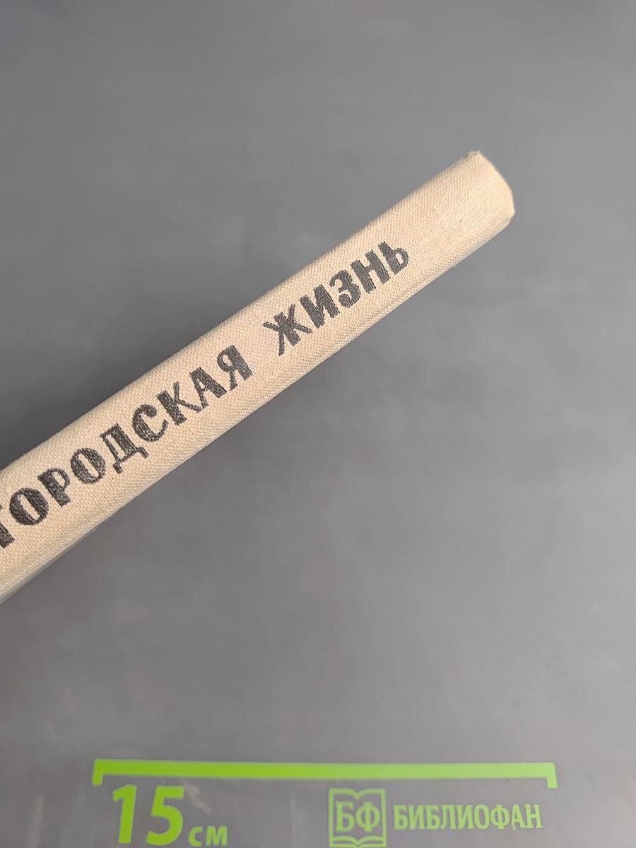 Городская жизнь