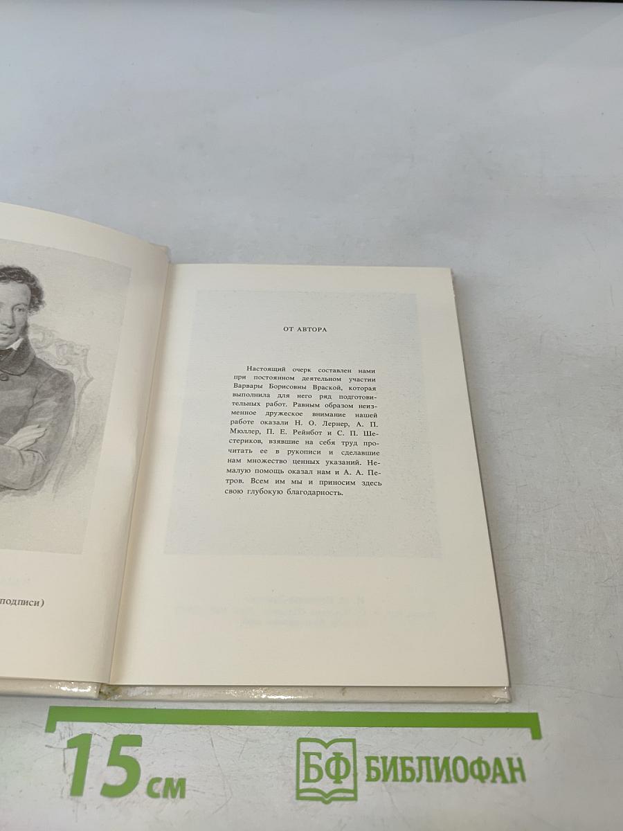 Наталья Николаевна Пушкина в портретах и отзывах современников