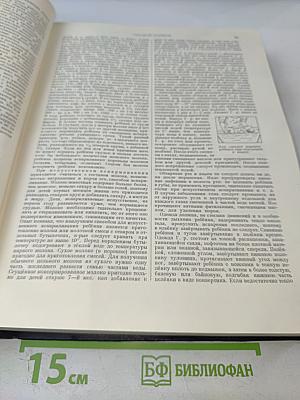 Большая Советская Энциклопедия, том 13: ГРОЗА – ДЕМОС