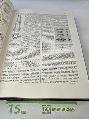 Большая Советская Энциклопедия, том 13: ГРОЗА – ДЕМОС