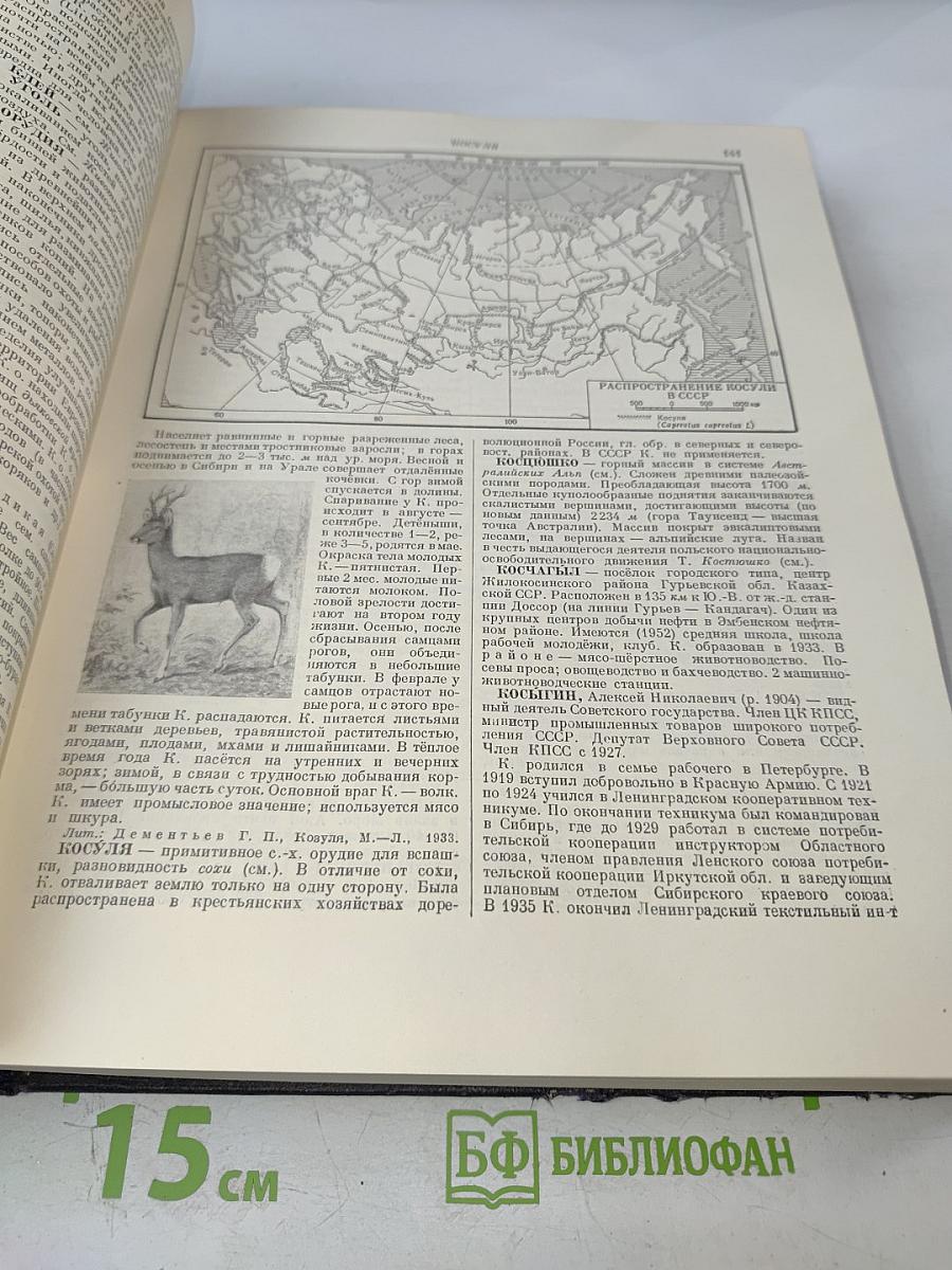 Большая Советская Энциклопедия. Том 23: Корзинка – Кукунор