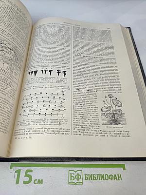 Большая Советская Энциклопедия. Том 25: Лесничий - Магнит