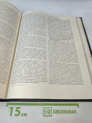 Большая Советская Энциклопедия. Том 25: Лесничий - Магнит