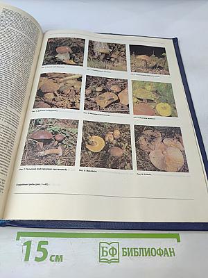 Малая медицинская энциклопедия. Том 1. А — Грудной ребенок