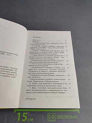 Глубины. Космическая организация человека