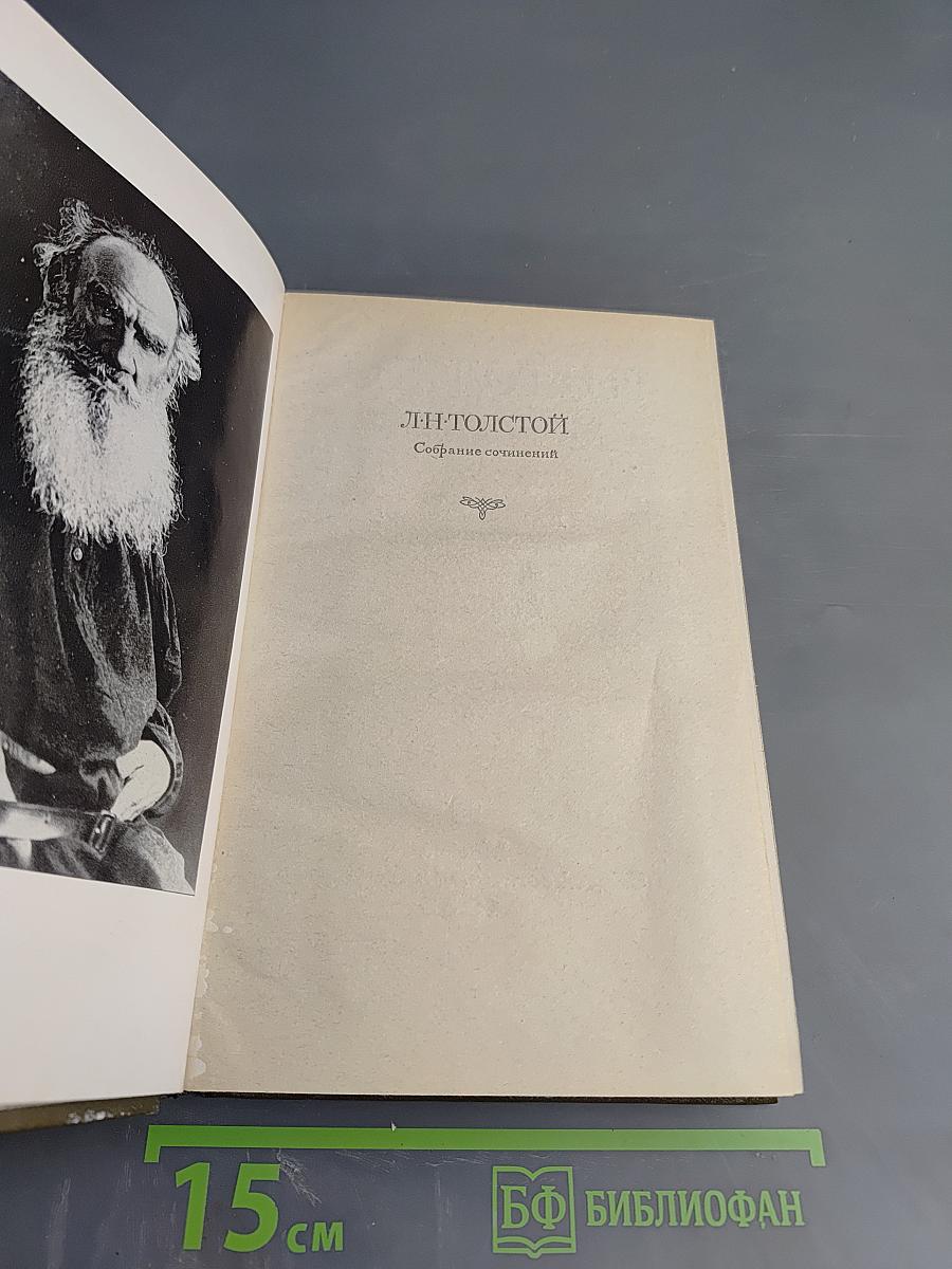 Собрание сочинений. Том 15: Статьи об искусстве и литературе