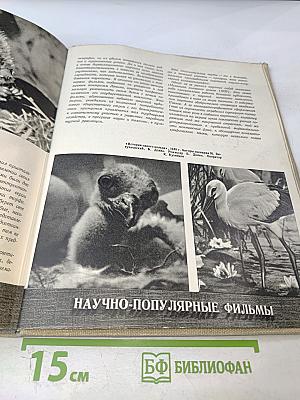 Искусство миллионов: Советское кино 1917-1957