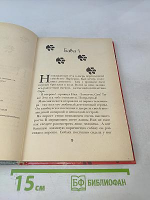 Джесси-Подкидыш