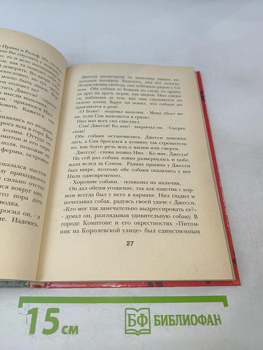 Джесси-Подкидыш