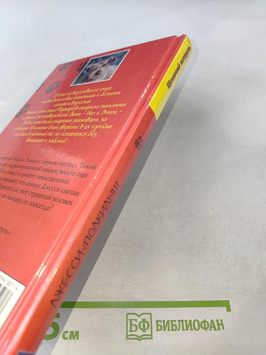 Джесси-Подкидыш