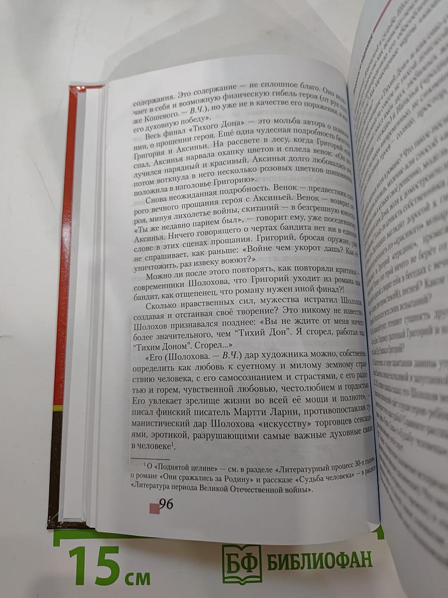 Литература 11 класс, Часть II, Базовый уровень