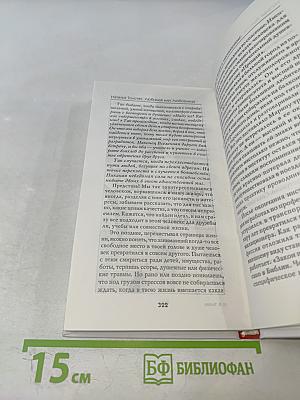 Любимая или Любовница. Хождение по мукам