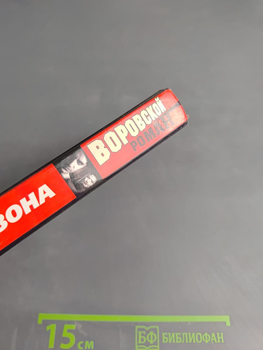 Тайга и зона