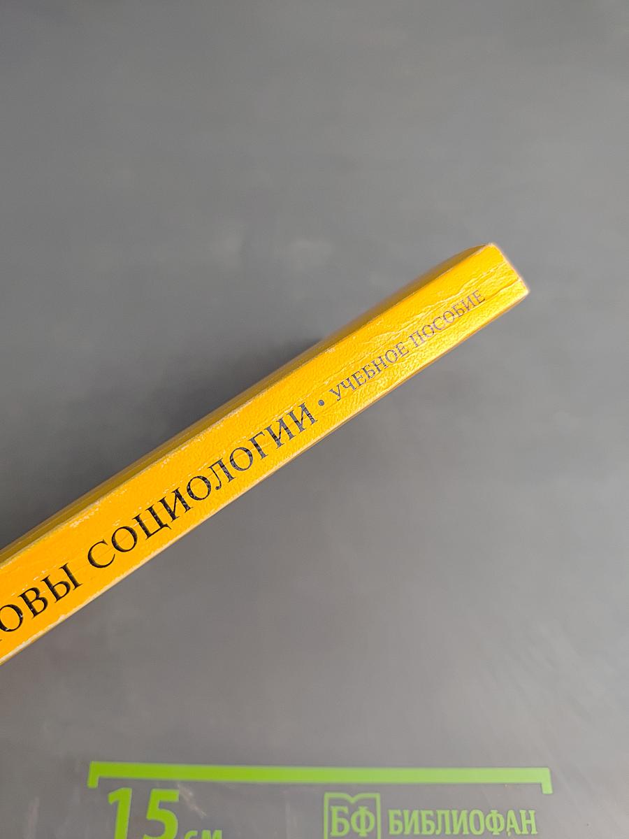 Основы социологии