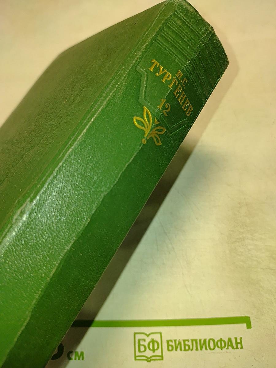Собрание сочинений. Том двенадцатый: Письма 1831-1883