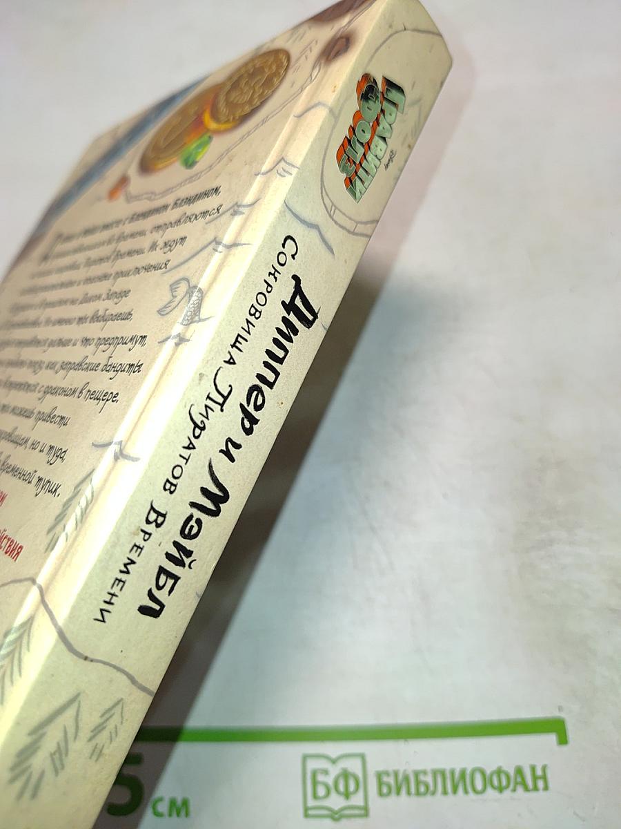 Диппер и Мэйбл. Сокровища Пиратов Времени