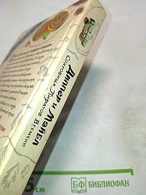 Диппер и Мэйбл. Сокровища Пиратов Времени