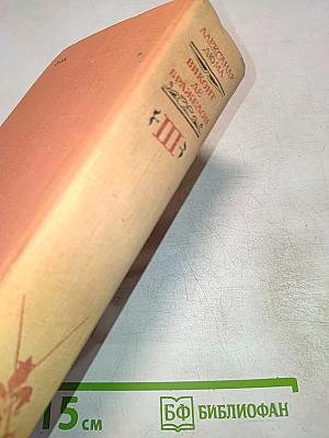 Виконт де Бражелон, или Десять лет спустя - III (Части 5, 6)