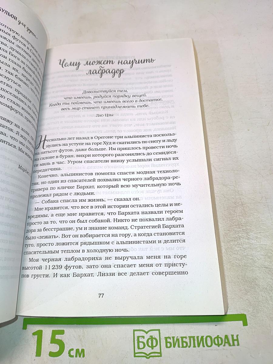 Куриный бульон для души: 101 история о счастье