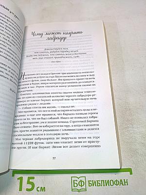 Куриный бульон для души: 101 история о счастье