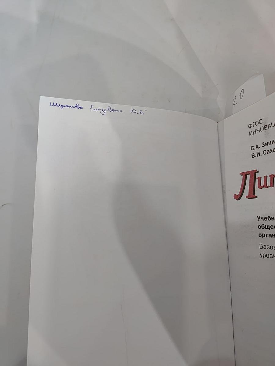 Литература. Учебник для 10 класса, Часть I