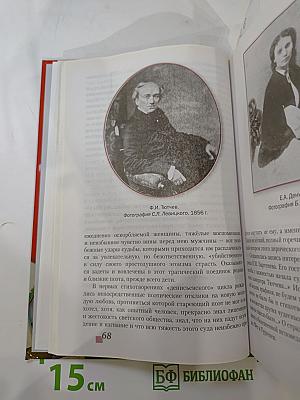 Литература. Учебник для 10 класса, Часть I