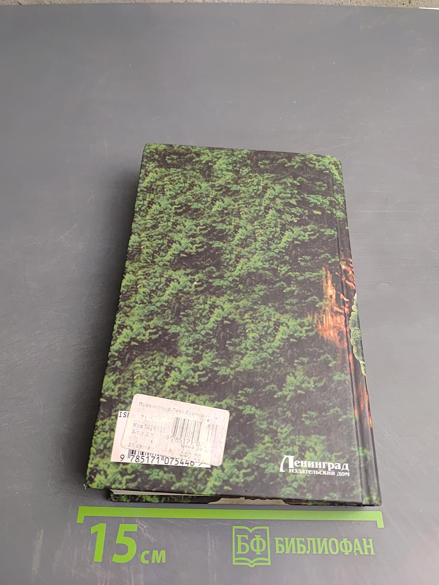 Лето Господне. Православные чудеса