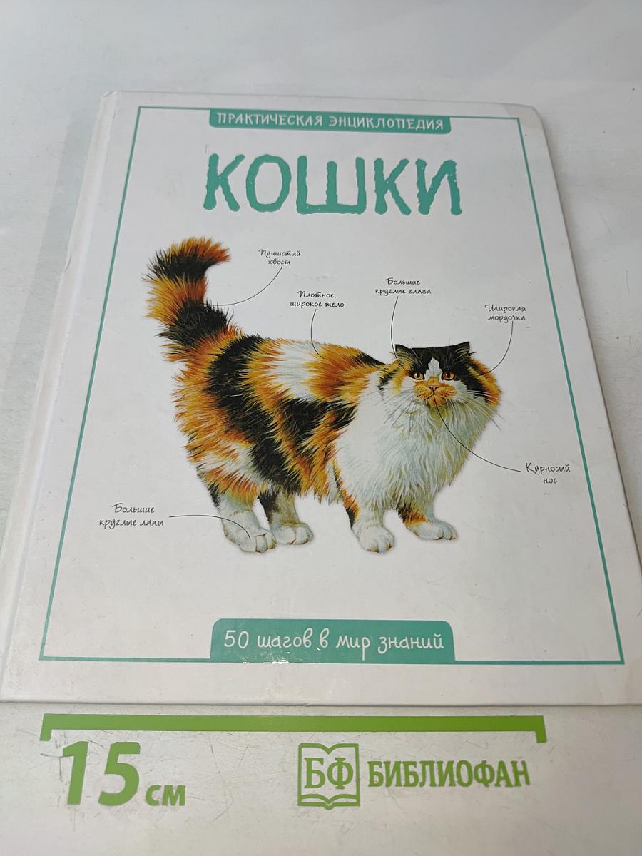 Кошки. Практическая энциклопедия