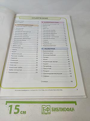 Кошки. Практическая энциклопедия