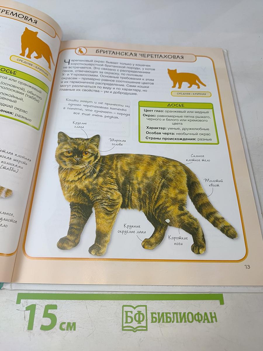 Кошки. Практическая энциклопедия