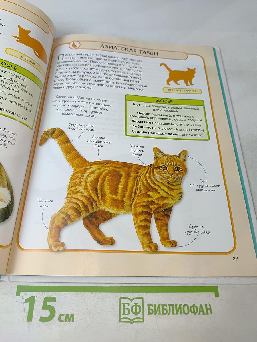 Кошки. Практическая энциклопедия