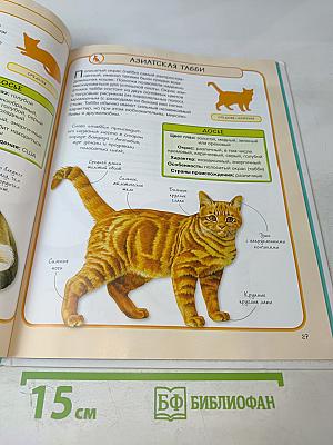 Кошки. Практическая энциклопедия