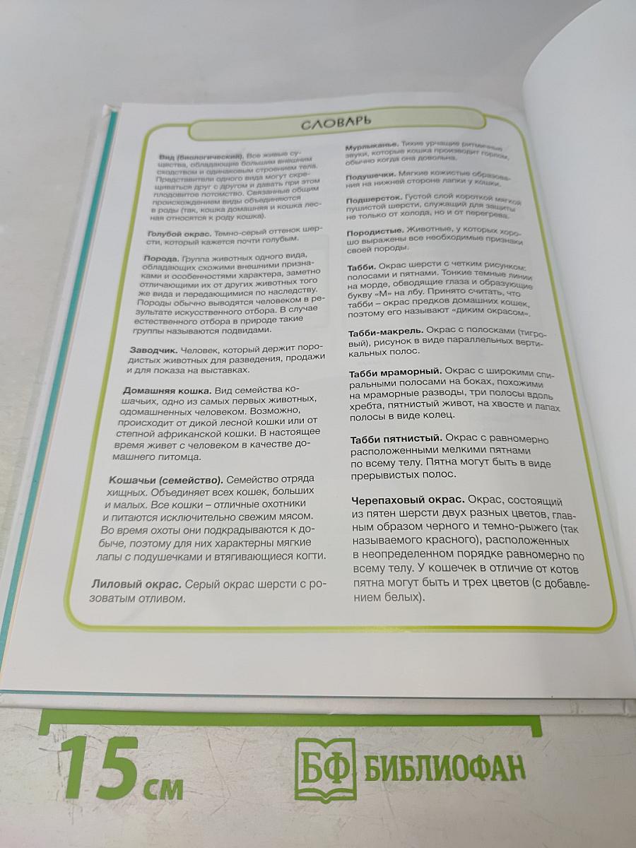 Кошки. Практическая энциклопедия