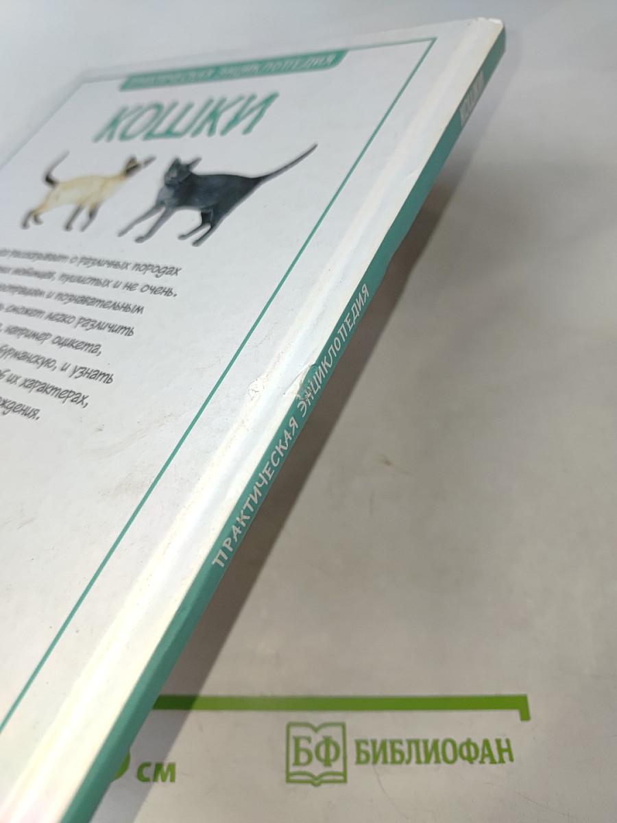 Кошки. Практическая энциклопедия