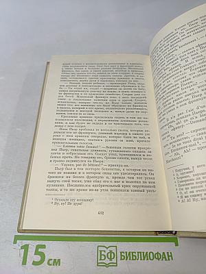 Война и Мир. Том 6