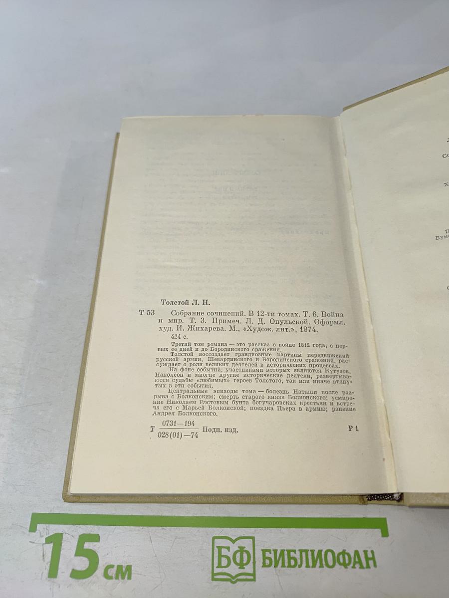 Война и Мир. Том 6