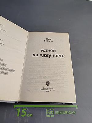 Алиби на одну ночь