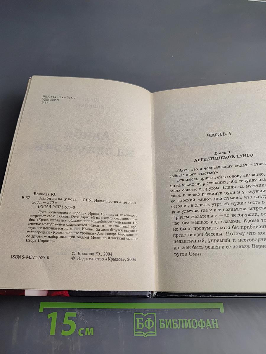 Алиби на одну ночь