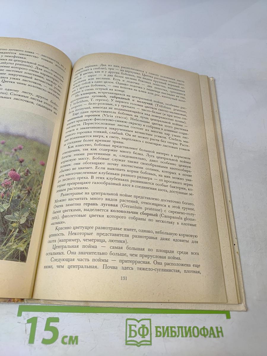 Растительный мир нашей Родины