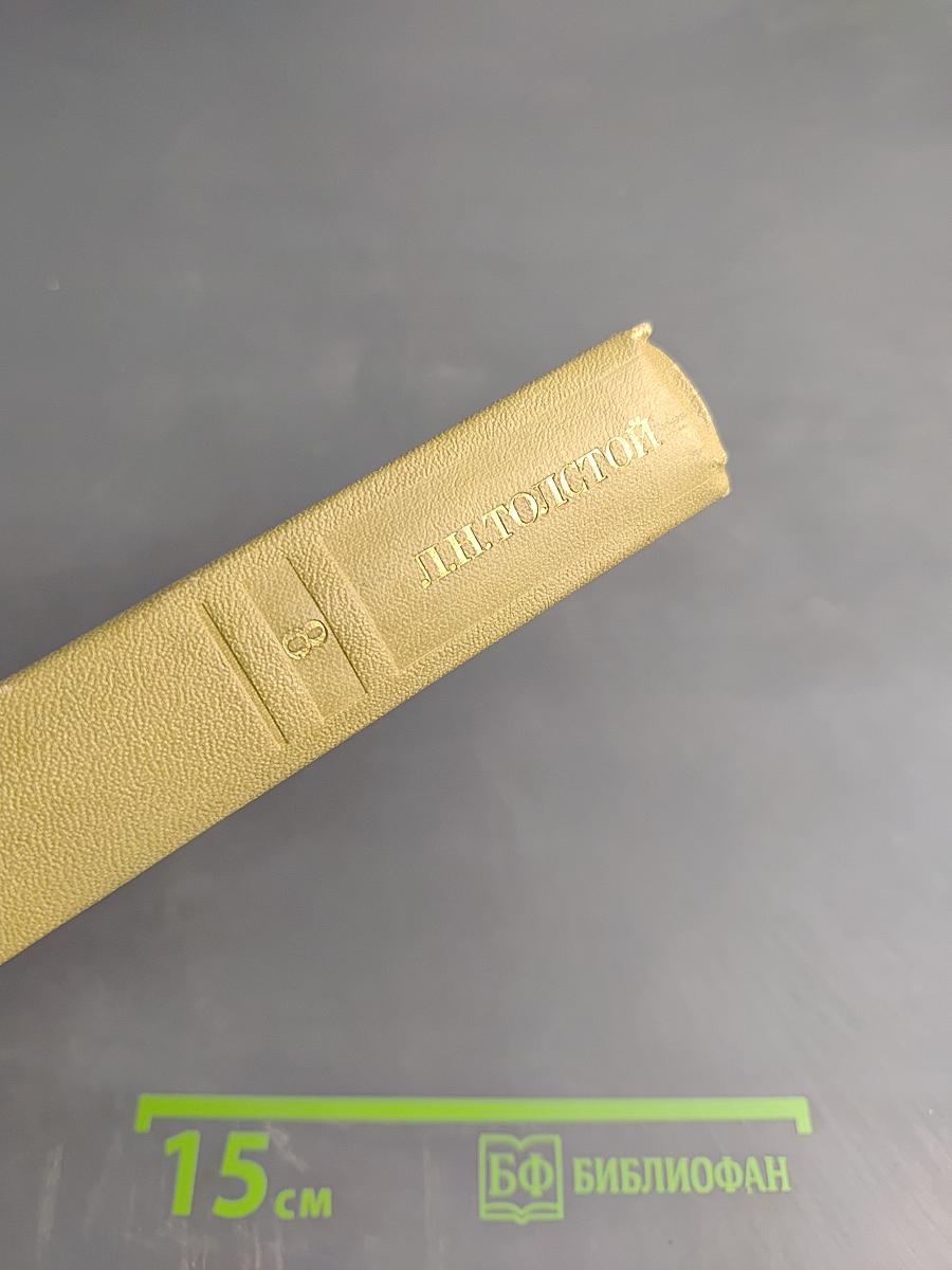 Анна Каренина. Собрание сочинений. Том восьмой