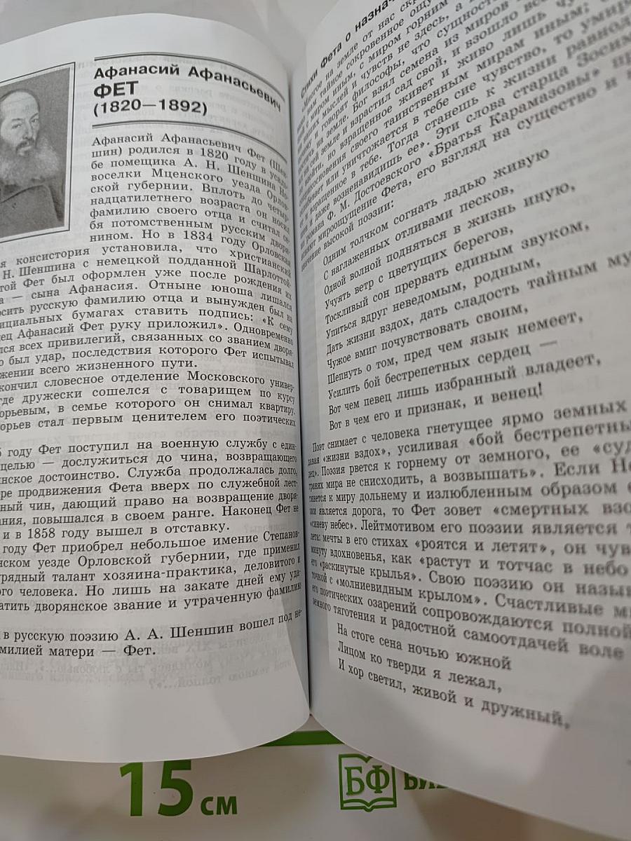 Литература 10 класс, Часть 2