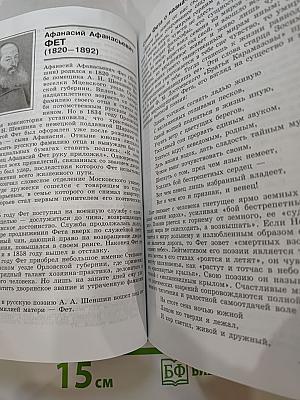 Литература 10 класс, Часть 2