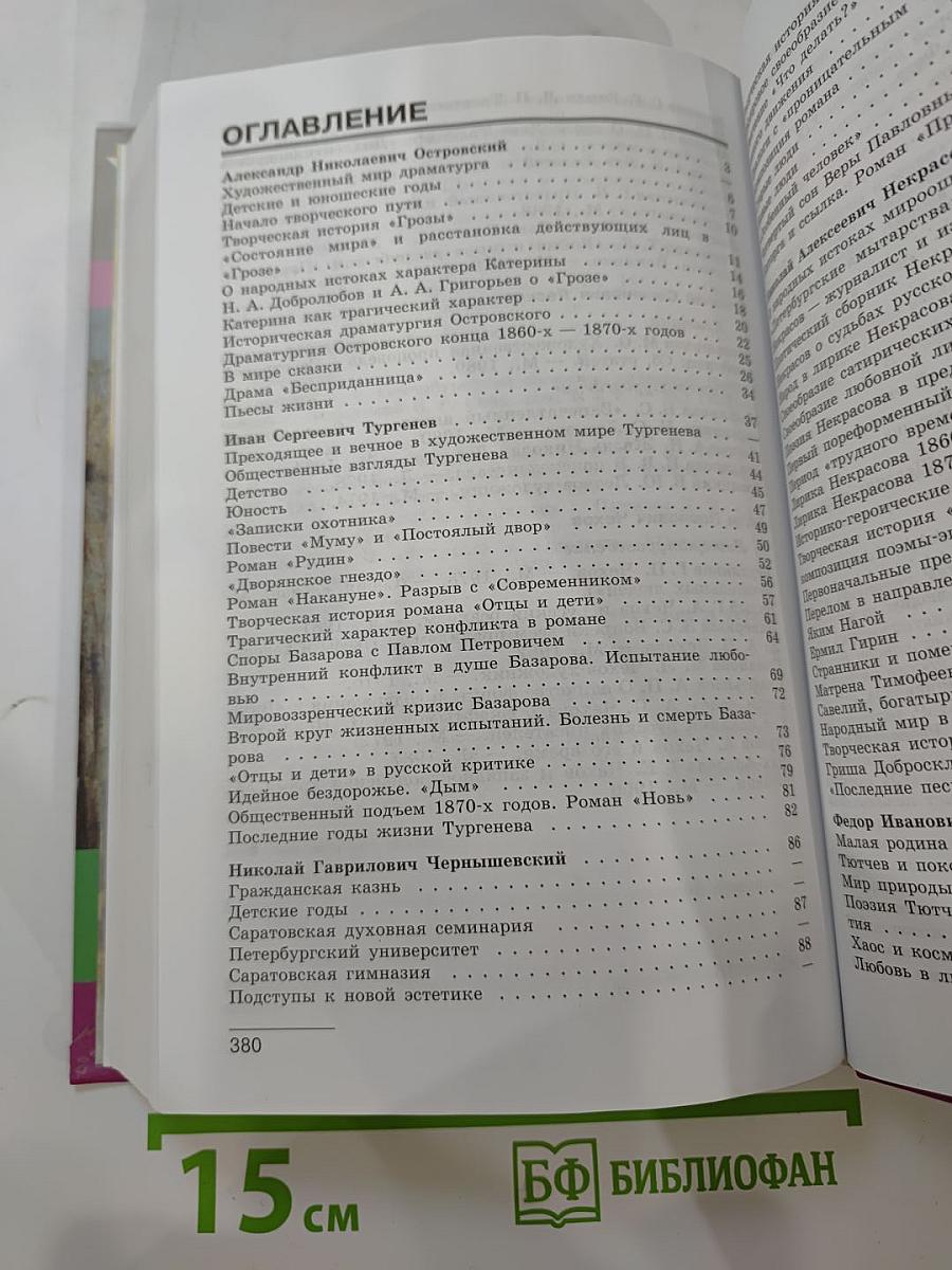 Литература 10 класс, Часть 2