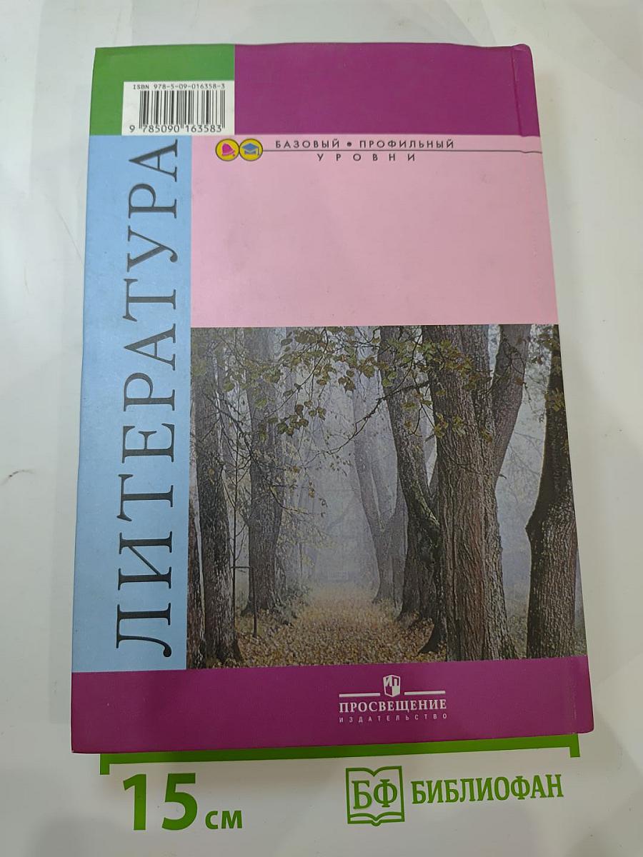 Литература 10 класс, Часть 2