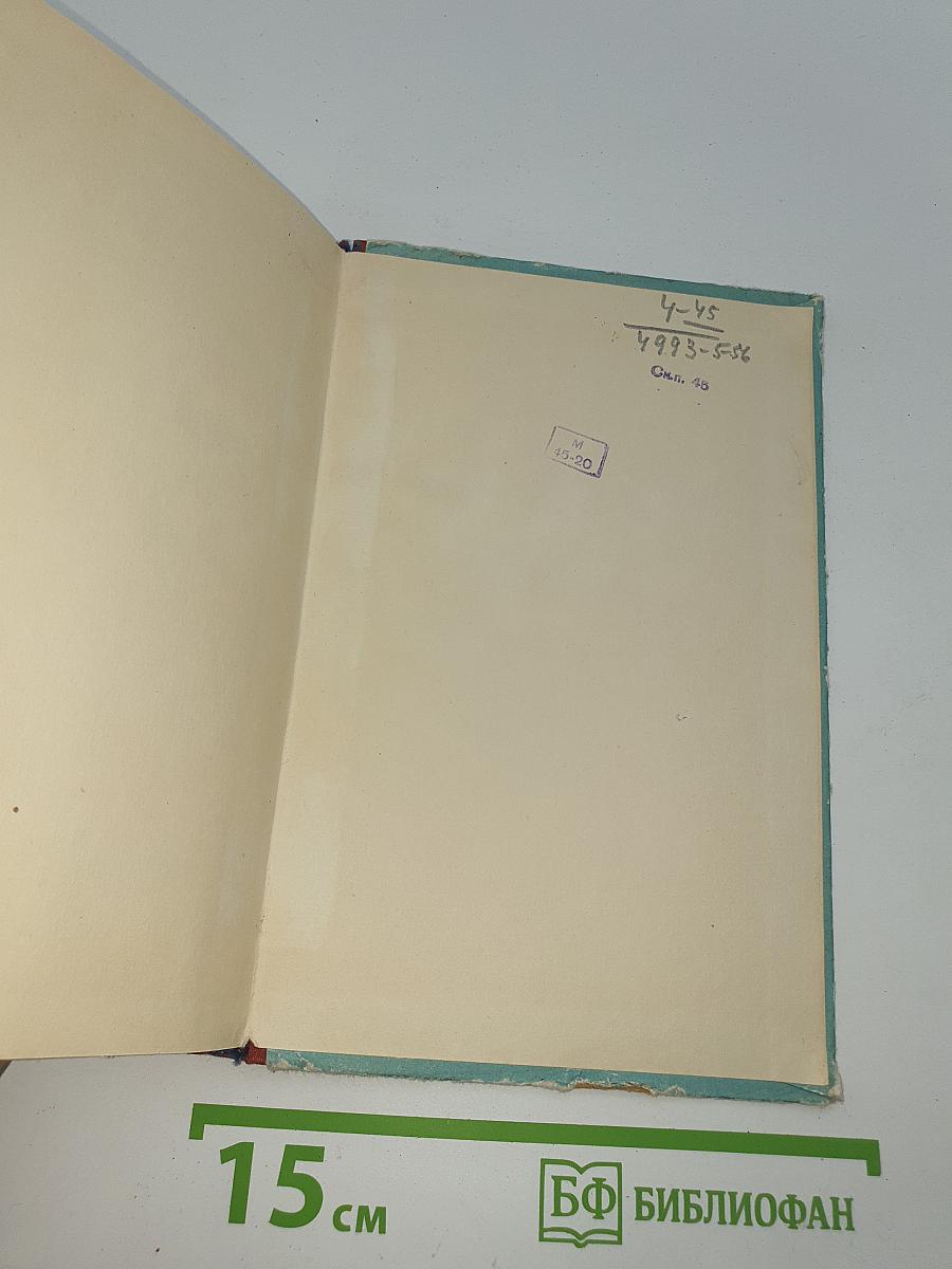 Витязь в тигровой шкуре