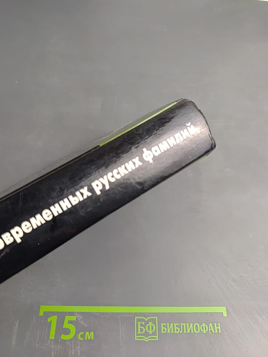 Словарь современных русских фамилий