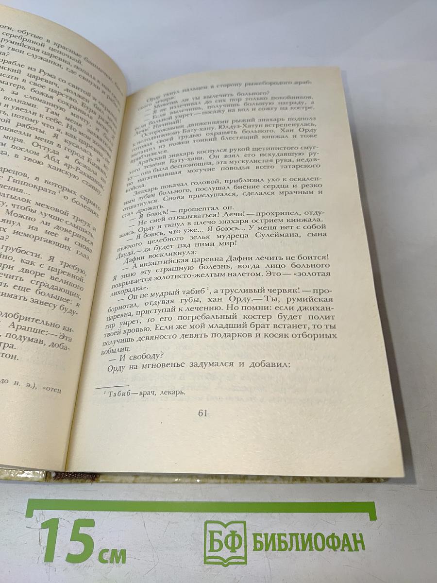 К последнему морю. Юность полководца