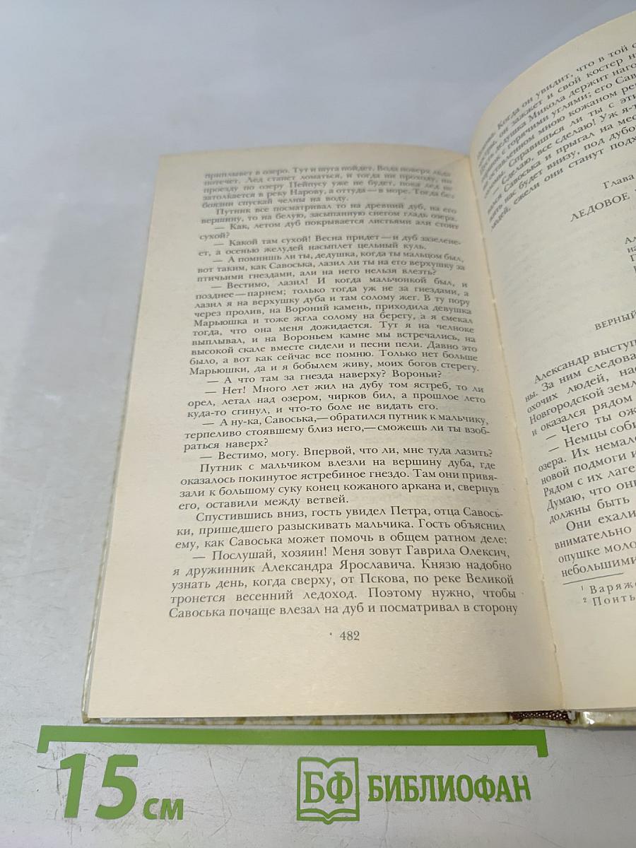 К последнему морю. Юность полководца