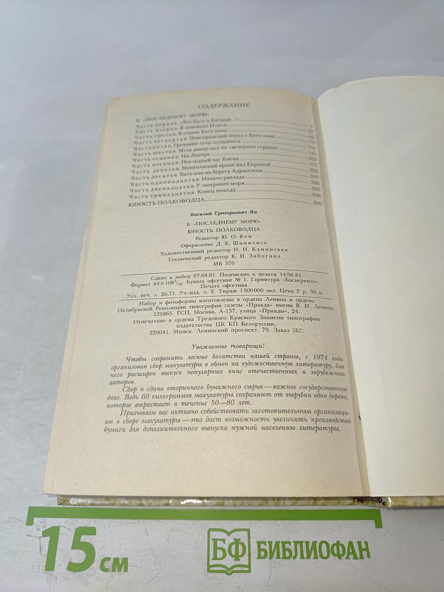 К последнему морю. Юность полководца