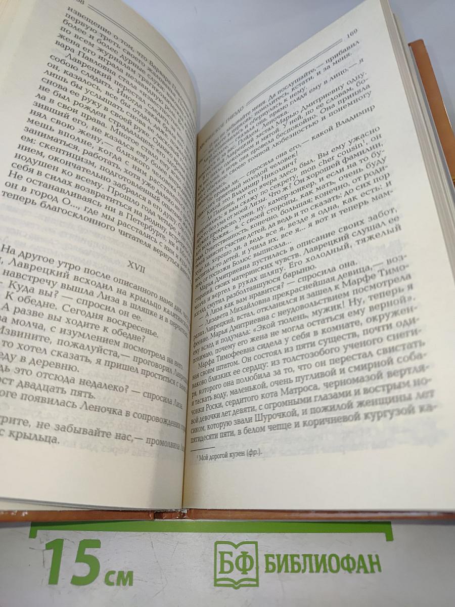 Рудин. Дворянское гнездо